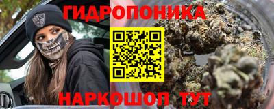 индика Бийск