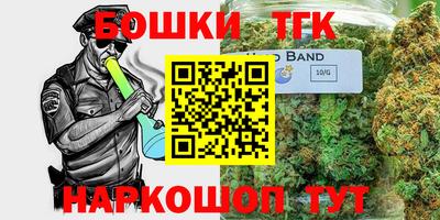 индика Бийск