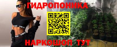 индика Бийск