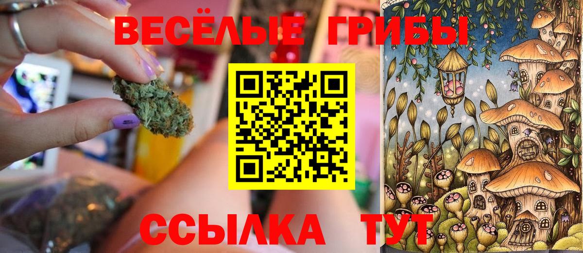 Ишим  Галлюциногенные грибы мухоморы  Вход с VPN  Псилоцибиновые грибы ЛСД 