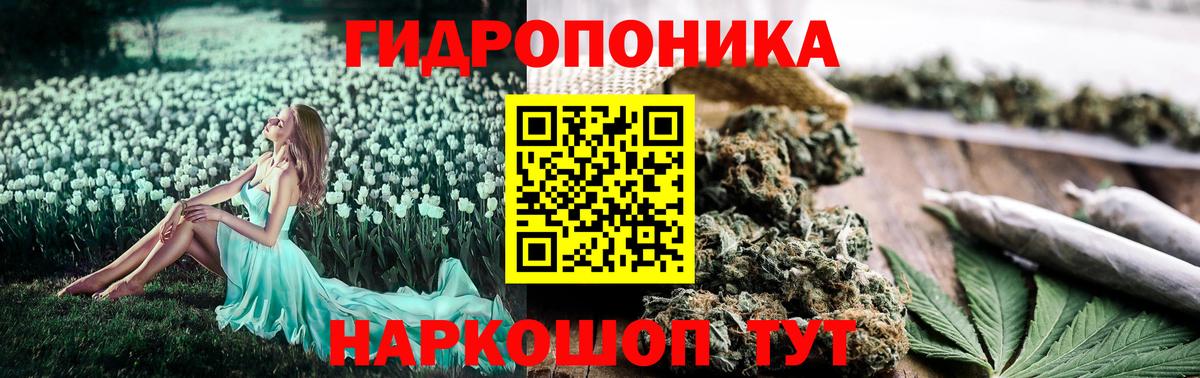 Галлюциногенные грибы Ишим